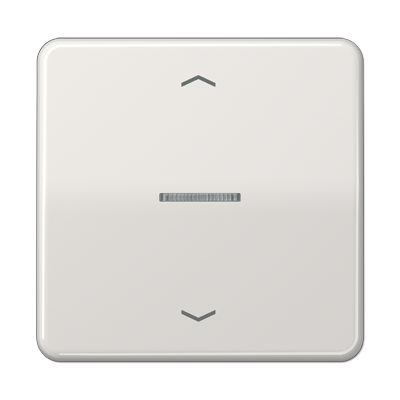 JUNG CD590KO5PLG, 1-gang rocker with symbols, 4011377208957