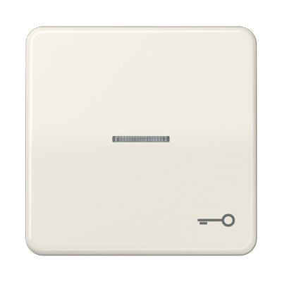 JUNG CD590KO5T, 1-gang rocker w.symbol "door"/trans.lens, 4011377255456