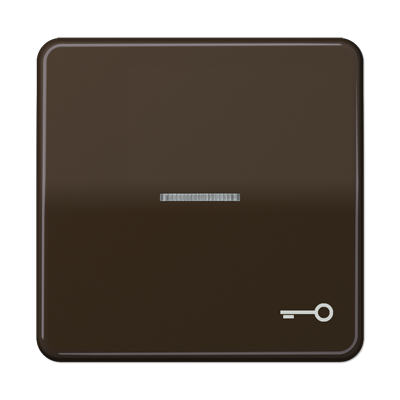 JUNG CD590KO5TBR, 1-gang rocker w. symbol door"/trans.lens, 4011377255753