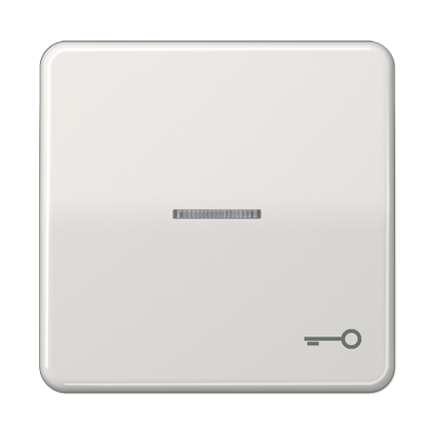 JUNG CD590KO5TLG, 1-gang rocker w. symbol door"/trans.lens, 4011377256057