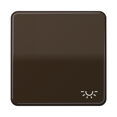 JUNG CD590LBR, 1-gang rocker w.symbol light, 4011377066304