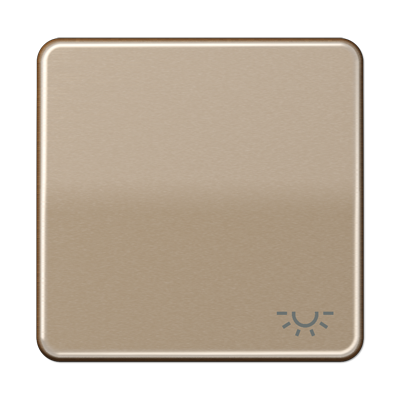 JUNG CD590LGB, 1-gang rocker w.symbol light, 4011377066502