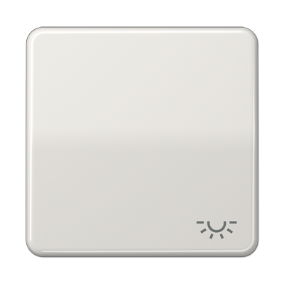 JUNG CD590LLG, 1-gang rocker w.symbol light, 4011377576902