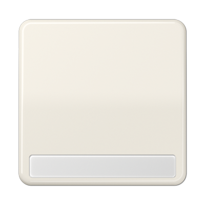 JUNG CD590NA, 1-gang rocker with inscription plate, 4011377067400