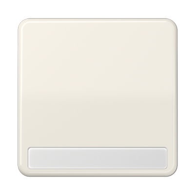 JUNG CD590NABF, 1-gang rocker with inscription plate, 4011377553408