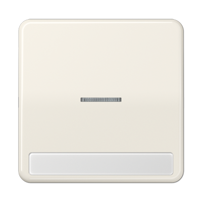 JUNG CD590NAKO5, 1-gang rocker w.transp lens&inscr. plate, 4011377209756