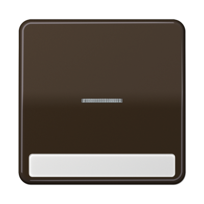 JUNG CD590NAKO5BR, 1-gang rocker w.transp lens&inscr. plate, 4011377210059