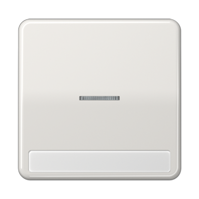 JUNG CD590NAKO5LG, 1-gang rocker w.transp lens&inscr. plate, 4011377210257