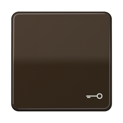 JUNG CD590TBR, 1-gang rocker w.symbol door, 4011377069206