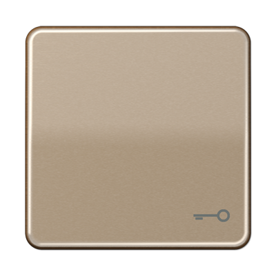 JUNG CD590TGB, 1-gang rocker w.symbol door, 4011377069404