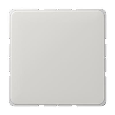 JUNG CD594-0LG, blank centre plate for snap-on fixing, 4011377616400