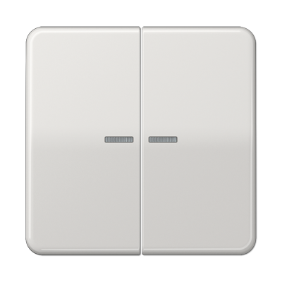 JUNG CD595KO5BFLG, 2-gang rocker with transparent lenses, 4011377295858