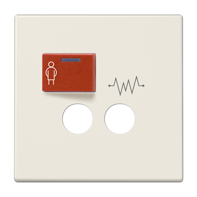 JUNG LS071A, Cover plate for Ackermann, 4011377087255