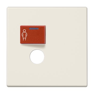 JUNG LS071B, Cover plate for Ackermann, 4011377087057