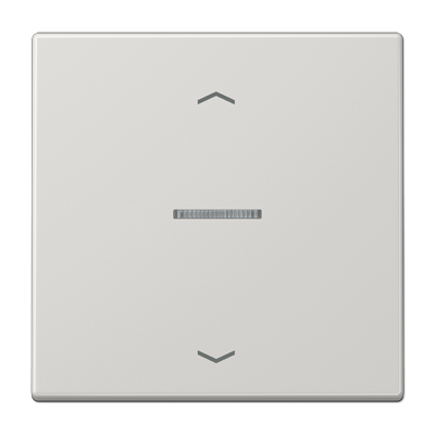 JUNG LS101KO5PLG, Rocker for push-button 1-gang, lens, arr, 4011377181816