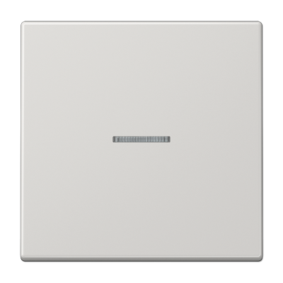 JUNG LS10911STRFLG, KNX RF centre plate 1-gang, 4011377194632