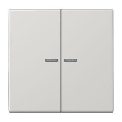 JUNG LS10921STRFLG, KNX RF centre plate 2-gang, 4011377194731