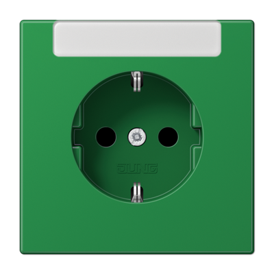 JUNG LS1520INAGN, SCHUKO? socket with inscription plate, 4011377173460
