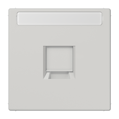 JUNG LS1969-1NAWELG, centre plate for MJ f. 1 socket, 4011377177871