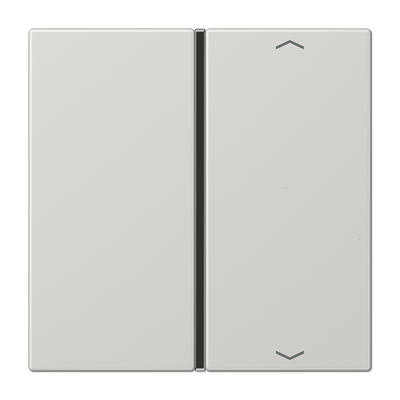 JUNG LS401TSAPLG, Cover 1-gang with symbols, 4011377044296