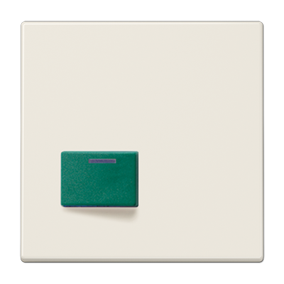 JUNG LS642C, Cover plate for Ackermann, 4011377086258