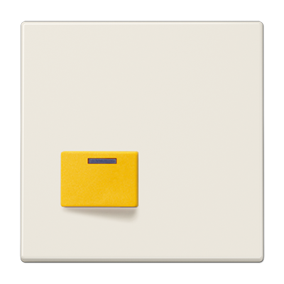 JUNG LS642D, Cover plate for Ackermann, 4011377086050