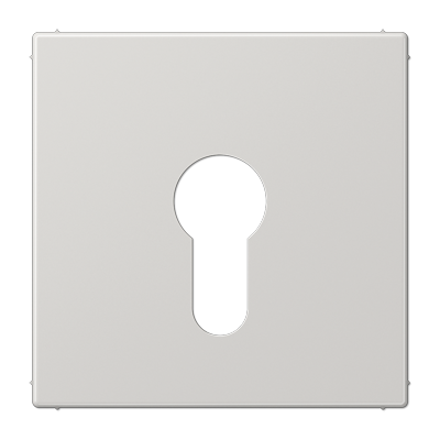 JUNG LS925LG, centre plate f. key switch, 4011377259058