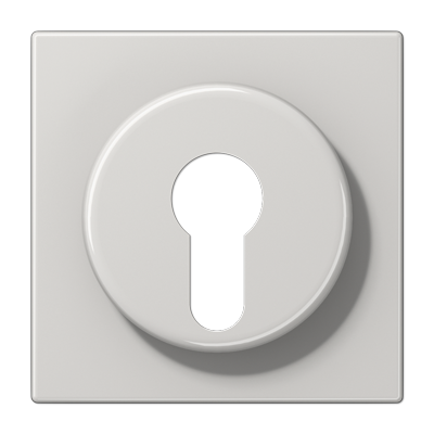 JUNG LS928LG, centre plate f. key switch, 4011377024359