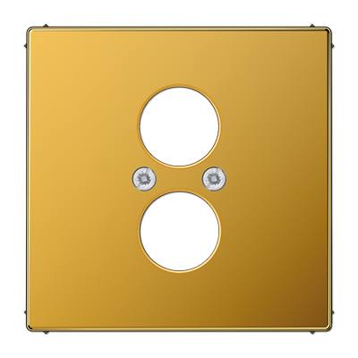 JUNG LS962GGO, centre plate for 2 loudspeaker sockets, 4011377229556