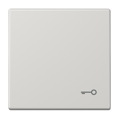 JUNG LS990TLG, rocker, 4011377018952