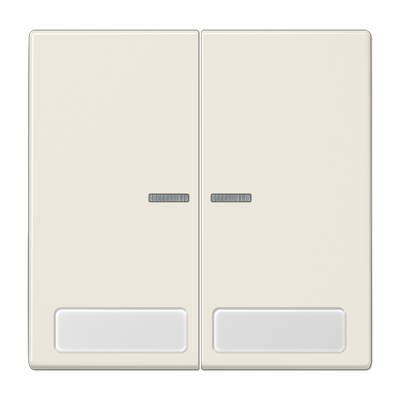 JUNG LS995NAKO5, 2-gang rocker with lens and inscriptions, 4011377051591